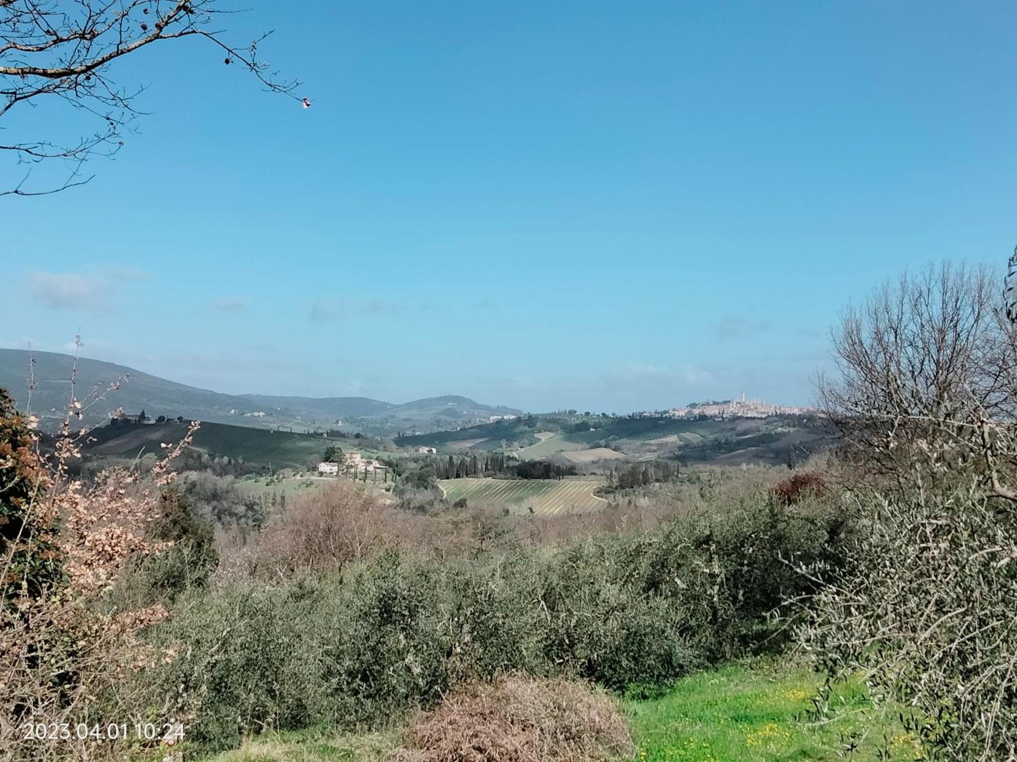Piazza Arnolfo 1932 Appartement Colle di Val d'Elsa Buitenkant foto